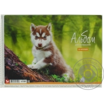 Альбом Школярик для малювання 20аркушів Art.472023 х10 купити, ціни на МегаМаркет - фото 1