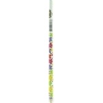 Олівець FLOWERS HB з гумкою 5шт арт. ZB.2300-5