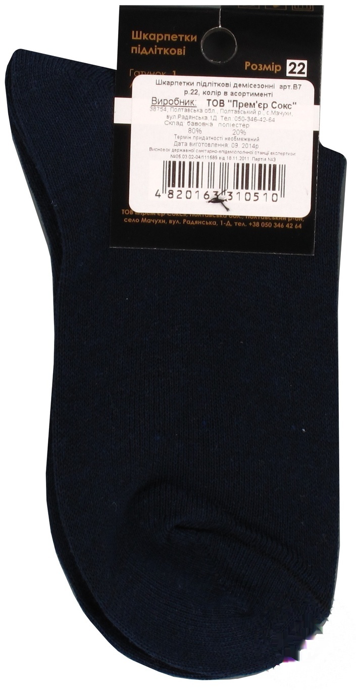 

Носки Premier Socks мужские р.22 в ассортименте
