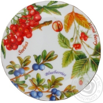 Plate Oselia - buy, prices for MegaMarket - photo 1