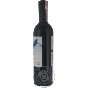 Wine shiraz red dry 13% 750ml glass bottle Argentina - buy, prices for MegaMarket - photo 2