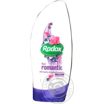 Гель Radox для душу крем Відчуй романтичність 250мл x12 купить, цены на МегаМаркет - фото 2