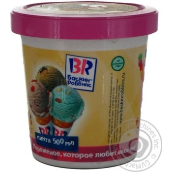 ice-cream baskin robbins 500ml bucket - buy, prices for - photo 11