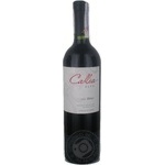 Wine shiraz Callia Callia alta red dry 14% 2009year 750ml glass bottle Argentina