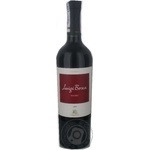 Wine malbec Bosca red dry 13.8% 2009year 750ml