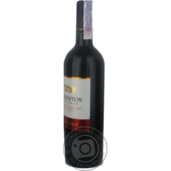 Вино Sarmientos Cabernet Sauvignon червоне сухе 0.75л купить, цены на МегаМаркет - фото 8