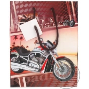 RN Category Gift Package 170x75x270mm - buy, prices for NOVUS - photo 2