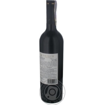 Wine saperavi Badagoni Ahasheni red semisweet 10% 2007year 750ml glass bottle Georgia - buy, prices for MegaMarket - photo 4