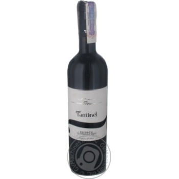 Wine refosco red dry 12.5% 750ml glass bottle Italy - buy, prices for MegaMarket - photo 1