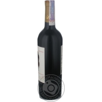 Вино Aves Del Sur Carbernet Sauvignon червоне сухе 0.75л х12 купить, цены на МегаМаркет - фото 3