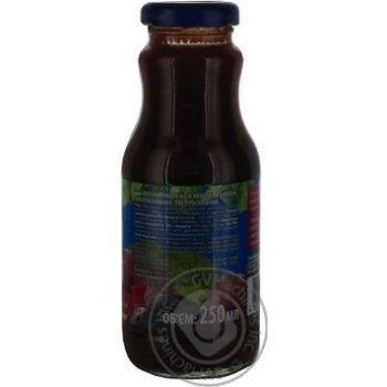 Pasteurized homogenized juice with pulp and sugar Chumak plum glass bottle 250ml Ukraine - buy, prices for NOVUS - photo 5