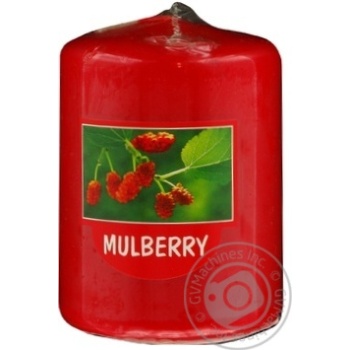 Candle Bolsius mulberry Poland - buy, prices for NOVUS - photo 1