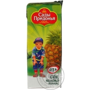 Reconstituted sterilized sugar-free juice Sady Pridonia apples and pineapple for 6+ months babies tetra pak 200ml Russia