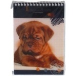 Economix Animal Story Notebook A6 48 sheets