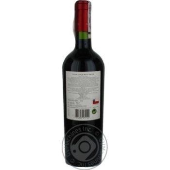 Wine cabernet sauvignon red dry 14% 750ml glass bottle Chili - buy, prices for MegaMarket - photo 2