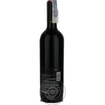 wine carmener pknt karmen 13.5% 750ml glass bottle Chili - buy, prices for - photo 2