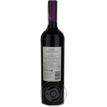 Вино Leon de Tarapaca Syrah червоне сухе 0.75л х6 купить, цены на МегаМаркет - фото 2