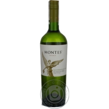 Wine sauvignon white dry 12.5% 750ml glass bottle Chili - buy, prices for MegaMarket - photo 1