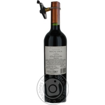 Вино Castillo De Molina Carmenere червоне сухе 0,75л купити, ціни на МегаМаркет - фото 2