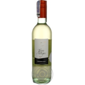 Wine trebbiano Cielo e terra Private import white dry 11% 750ml glass bottle Italy - buy, prices for MegaMarket - photo 1