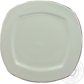 Plate - buy, prices for NOVUS - photo 2