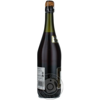 Вино ігристе Sant Orsola Lambrusco Rosso Semi-Sweet 0,75л x3 купить, цены на МегаМаркет - фото 3