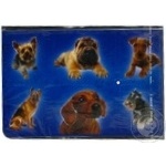 Ochen Khorosho Stickers With Varnish and Powder 12pcs - buy, prices for - photo 2