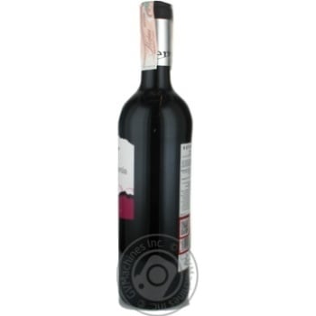 wine esteban martin 13.5% 750ml glass bottle Spain - buy, prices for - photo 5