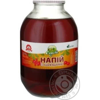 beverage sadyba rose hip 3000ml glass jar Ukraine