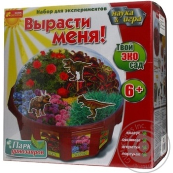 Toy Ranok-creative for children's creativity 6-12 years Ukraine