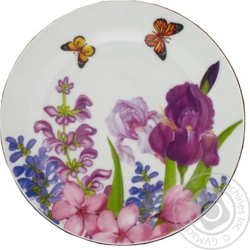 Plate - buy, prices for MegaMarket - photo 1