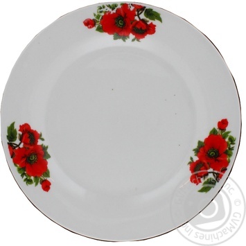 Plate 230mm - buy, prices for MegaMarket - photo 1