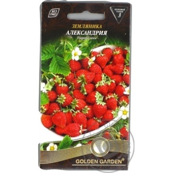 Seed strawberry oleksandriya Golden garden 0.1g - buy, prices for MegaMarket - photo 6