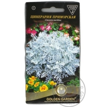 Насіння Golden Garden Цинерарія приморська 0,1г - купити, ціни на МегаМаркет - фото 1