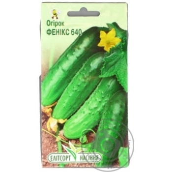 Elitsortnasinnia Nizhyn Cucumber Seeds 1.5g