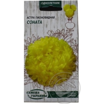 Насіння Айстра Піоновидна СОНАТА 0,25г купити, ціни на МегаМаркет - фото 1