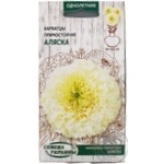 Seed marigold for garden