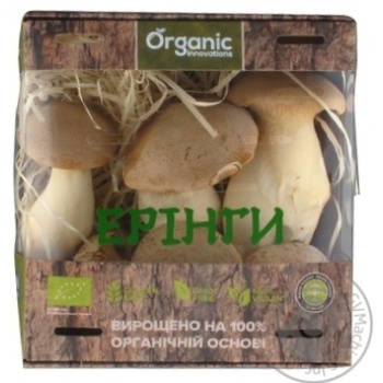 Organic innovations oyster mushroom fresh 230g - buy, prices for MegaMarket - photo 1