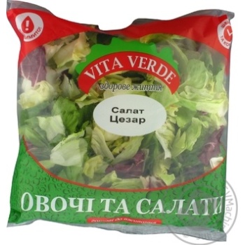 Салат Віта Верде Цезар 480г купити, ціни на МегаМаркет - фото 1