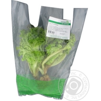 Greens lettuce lollo bionda fresh 100g - buy, prices for MegaMarket - photo 1