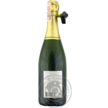 Вино игристое Doudet Naudin Cremant de Bourgogne біле сухе 12% 0.75л - купить, цены на ULTRAMARKET - фото 2