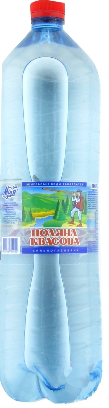 

Вода Поляна Квасова Мечта минеральная 1,5л